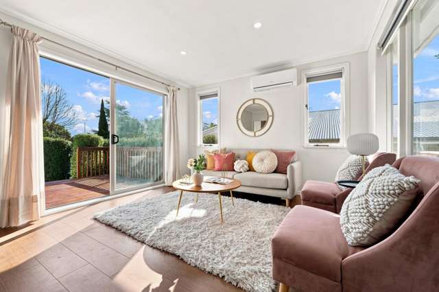 17 Laurel Street Mount Albert_2