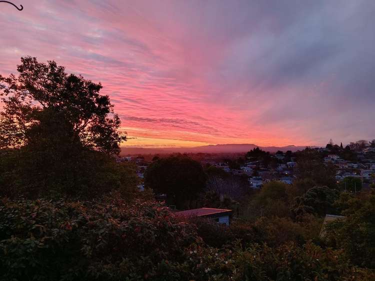 33A Brookfield Terrace Brookfield_17