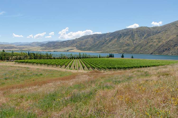 9 Awahokomo Road Kurow_11