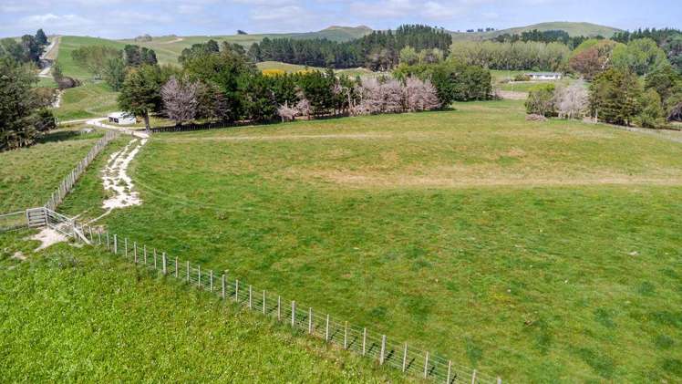 205 Ngawaka Road Flemington_16