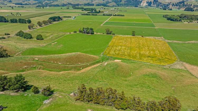 2054 Kimbolton Road Kiwitea_6