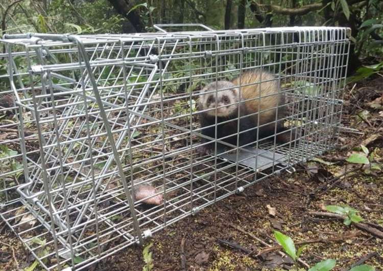 Address withheld Wellington Central_5