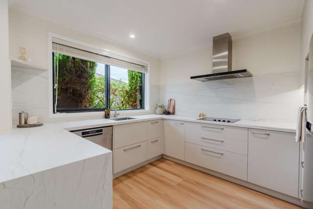 14 St Johns Avenue Hamilton East_1