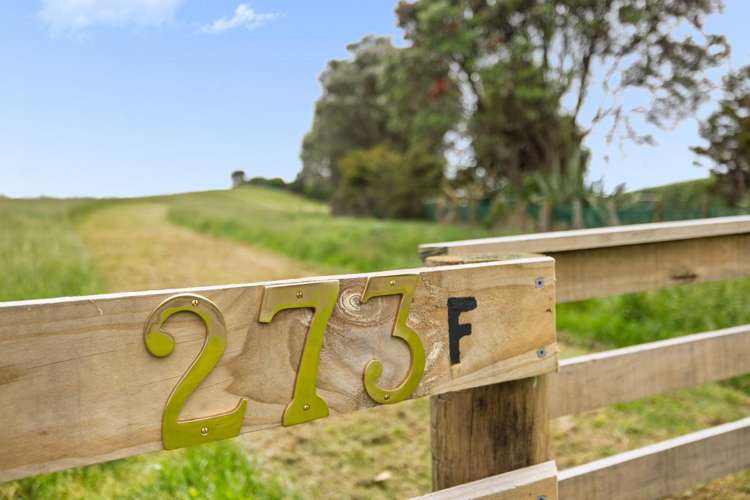 273F Lund Road Katikati_4