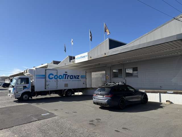 9 Midland Street South Dunedin_1