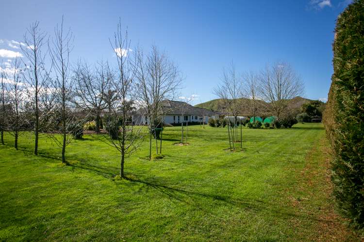 43 Glen Ida Way Tauwhare_7