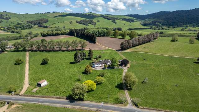 774 Buckland Road Matamata_4