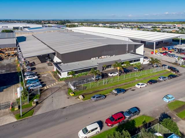 Institutional-grade industrial asset in Wiri