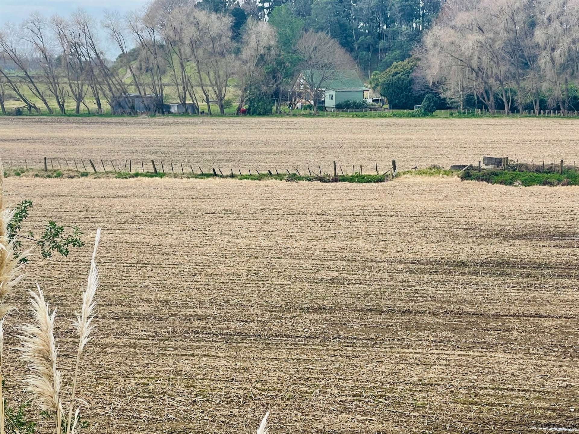 1127a Te Puke Highway Te Puke Western Bay Of Plenty Houses for