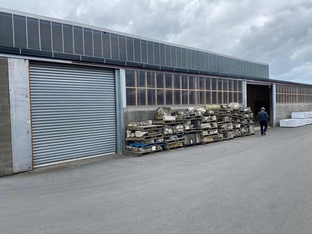 56a Shortland Street Wainoni_2