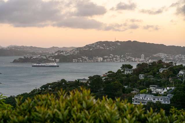 27 Kabul Street Khandallah_3