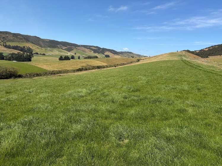 Caroline Valley Road Dipton_14