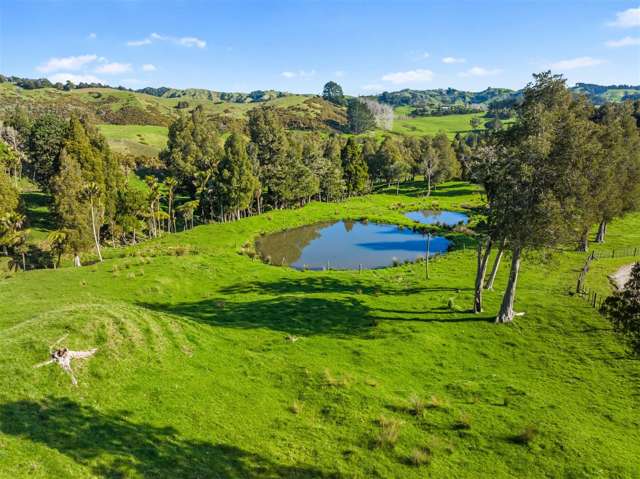 92 Adams Road Wainui_2