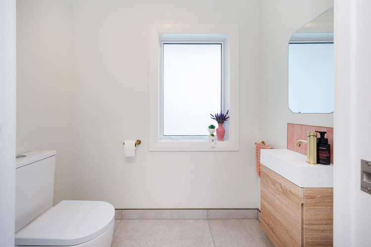 168A Nannestads Line Bunnythorpe_17