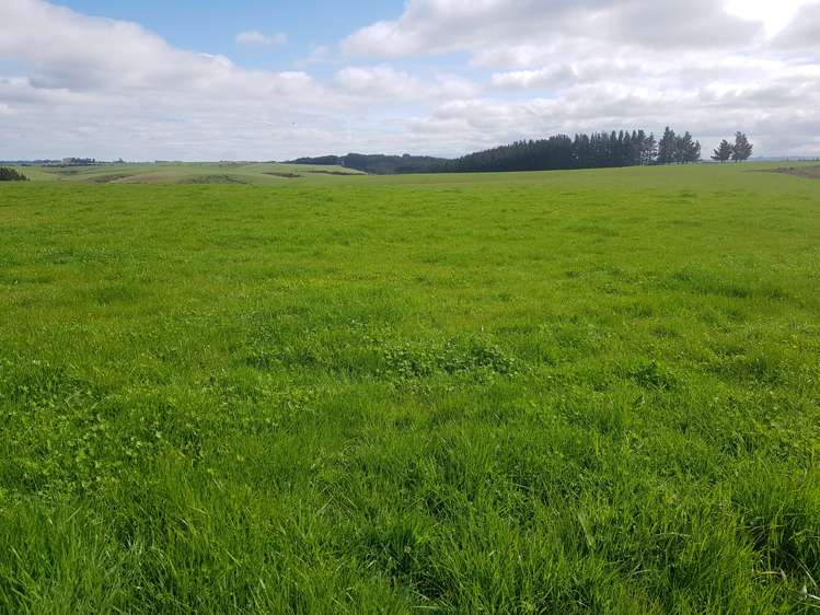 173 Soper Road Clinton and Surrounds_5