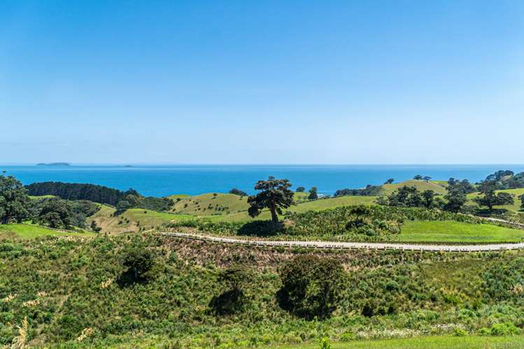 7 Tukere Lane Waiheke Island_6