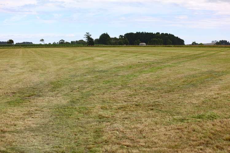 159 Koputaroa Road Levin_11