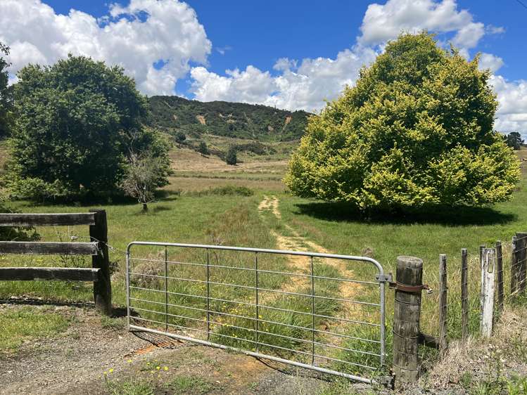 Waitomo Valley Road_3