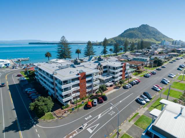 217/36 Victoria Road Mount Maunganui_3