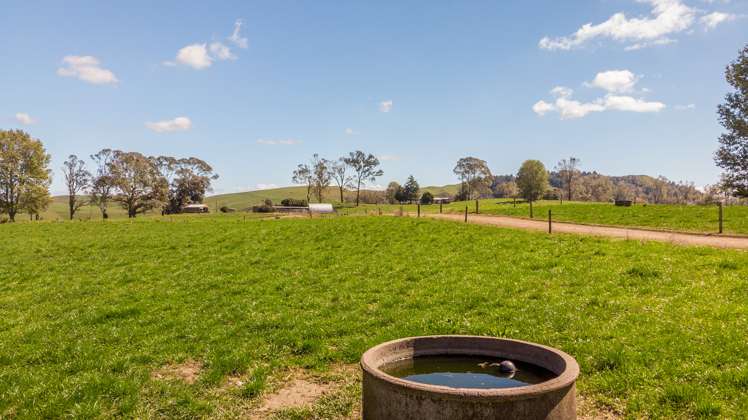 120 Pamotumotu Road Maihiihi_8