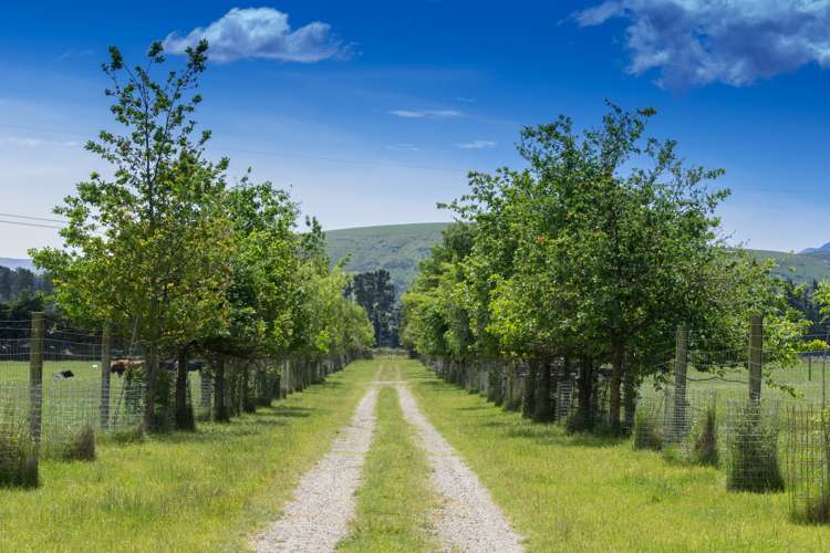 481 Moorhouse Road Mayfield_6