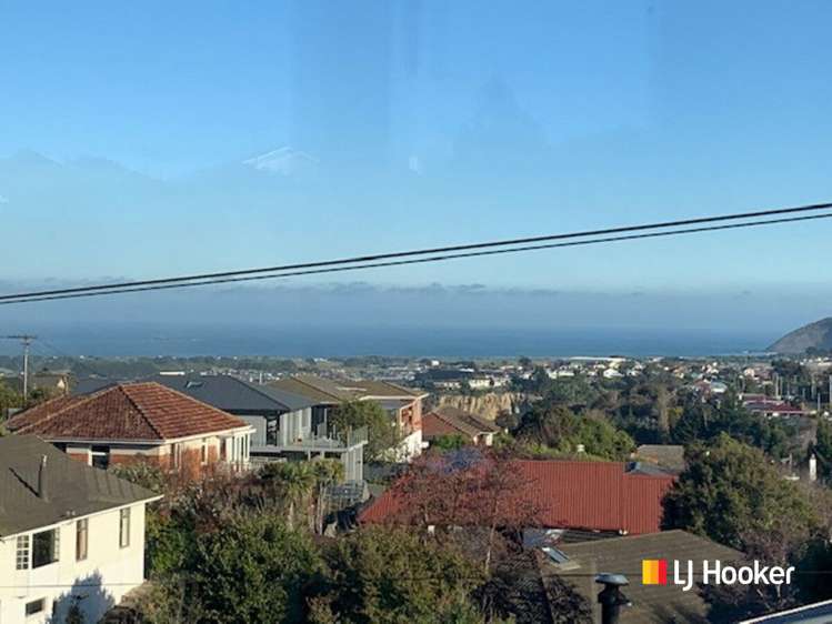 138 Larnach Road Waverley_12