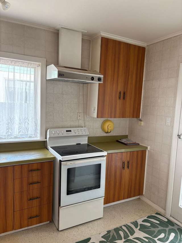 53 Alexander Avenue Onekawa_4