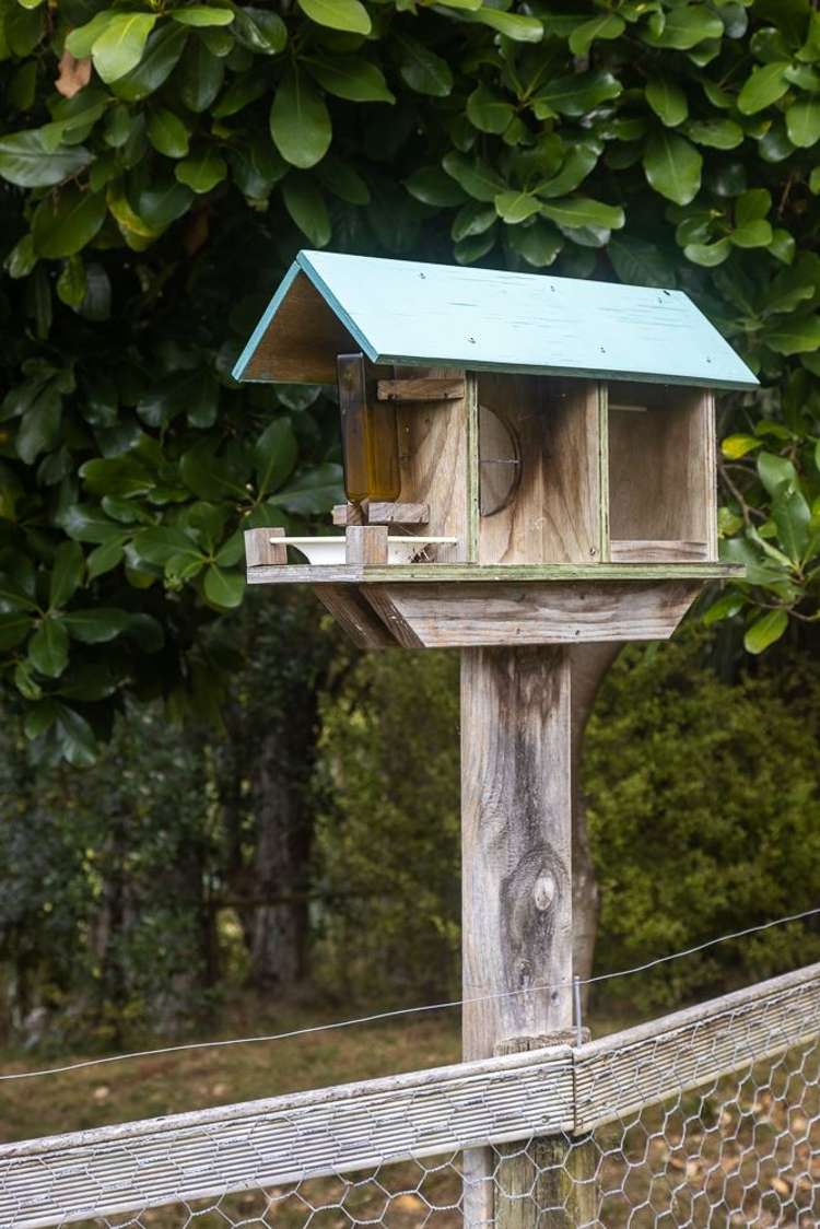 1071 Tauhoa Road Kaipara Flats_29