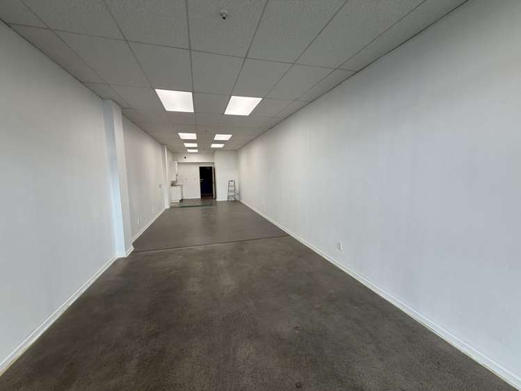 Ground/40 Jervois Road Ponsonby_8