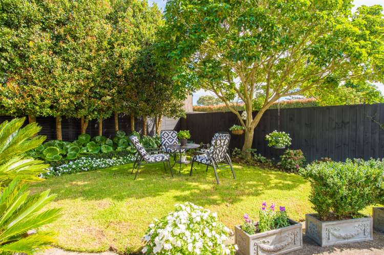 14a William Street Takapuna_10