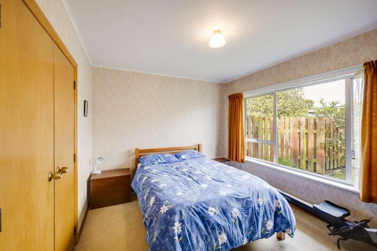 53 Alexander Avenue Onekawa_9