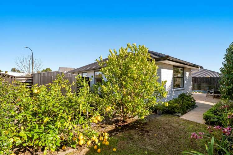 15 Charlotte Drive Omokoroa_13