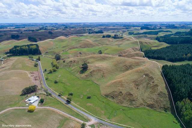 Bareland Beef Finishing Unit Handy To Feilding