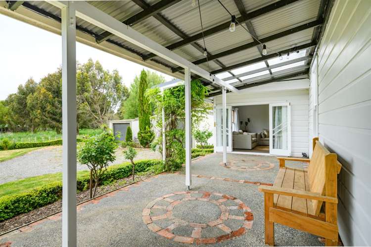 93 Trickers Road Bulls_8