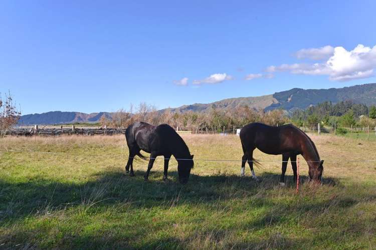 41 Nees Road Takaka_13