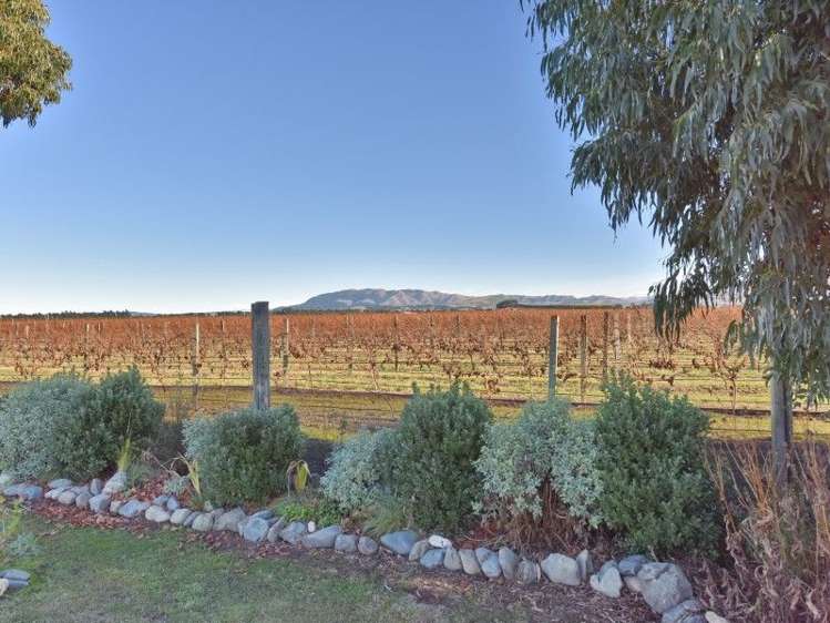 117 Darnley Road Amberley_19