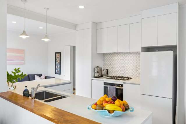 117 Pah Road Royal Oak_2