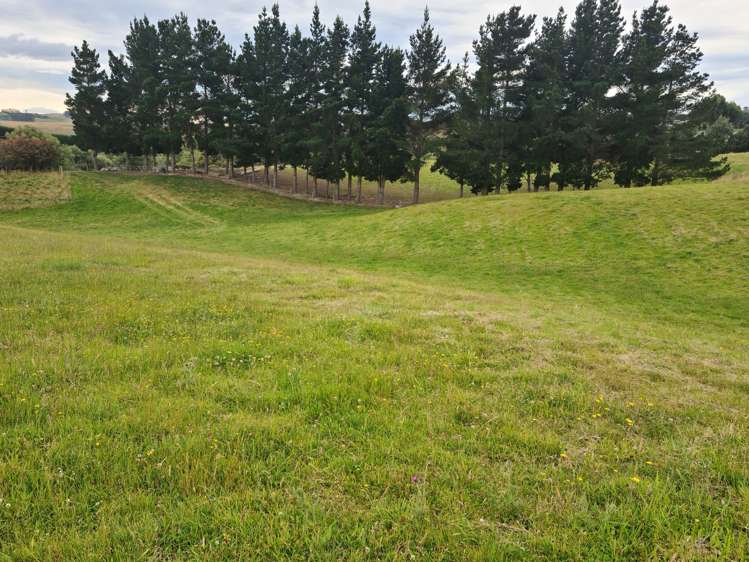 81 Homestead Road Weston_7