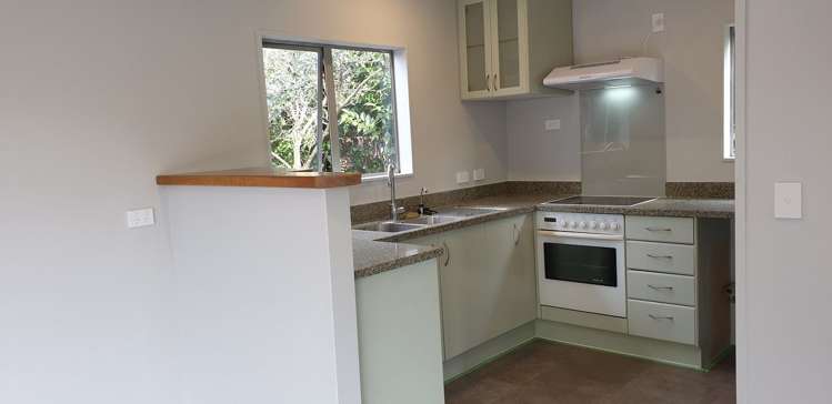 47A Cardiff Road_0