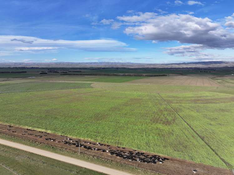 Wallington Road Omakau_17