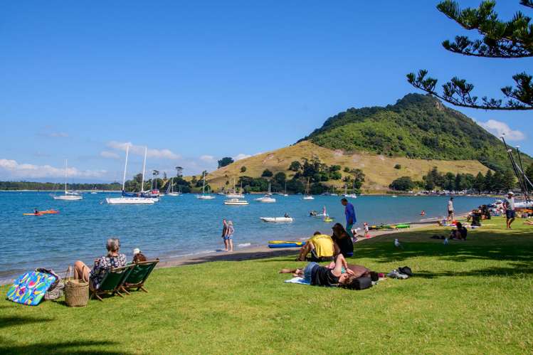 2/3 Puriri Street Mount Maunganui_20