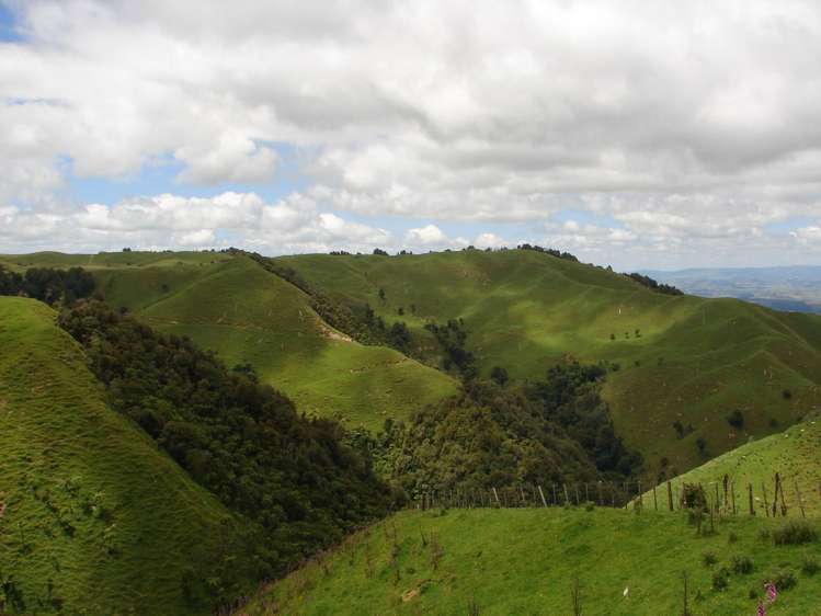 Mahoe Road Waitomo_13