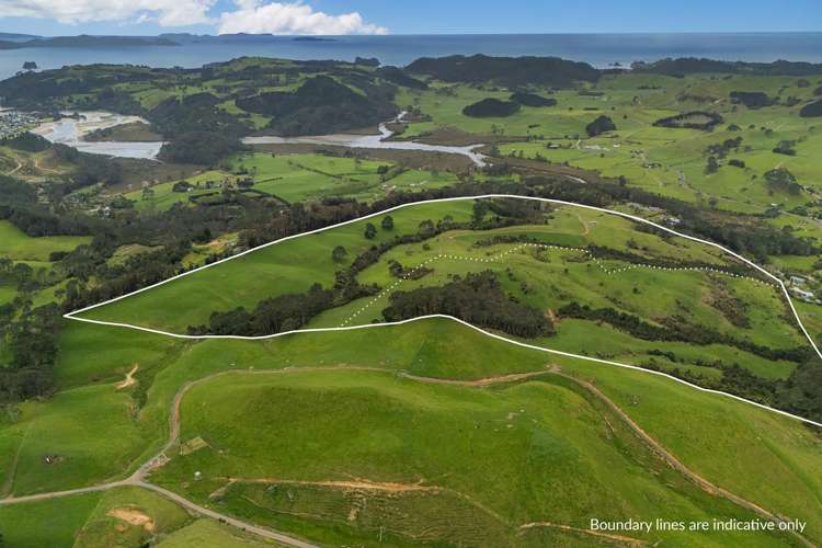 Lot 1/471 Purangi Road Cooks Beach_1