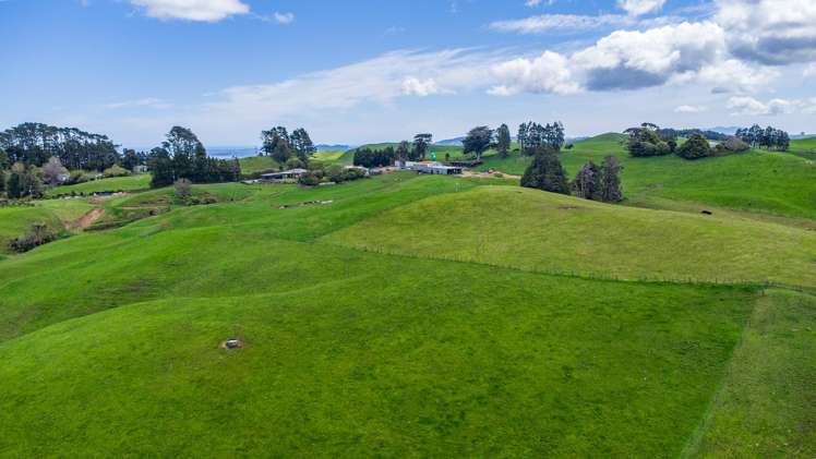 44 Te Rauamoa Road Otorohanga_32