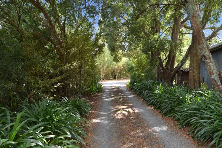 1195a Pipiwai Road Ruatangata_16