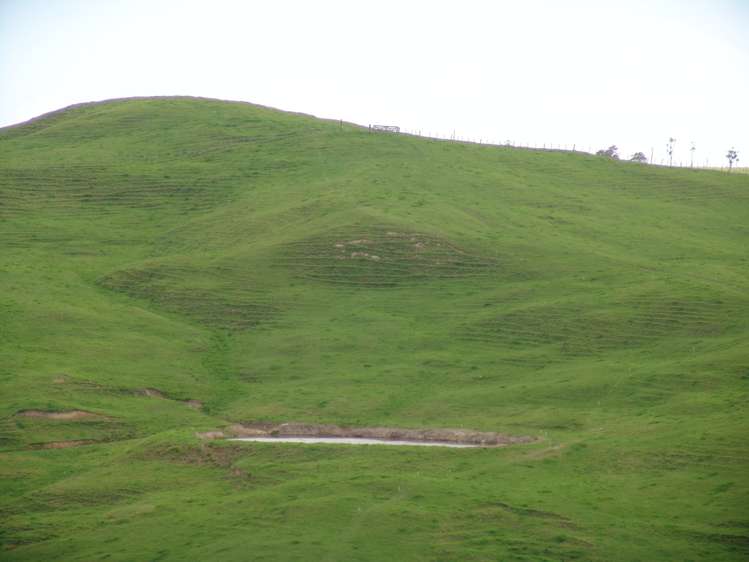 259 Arapohue Road Dargaville Surrounds_16