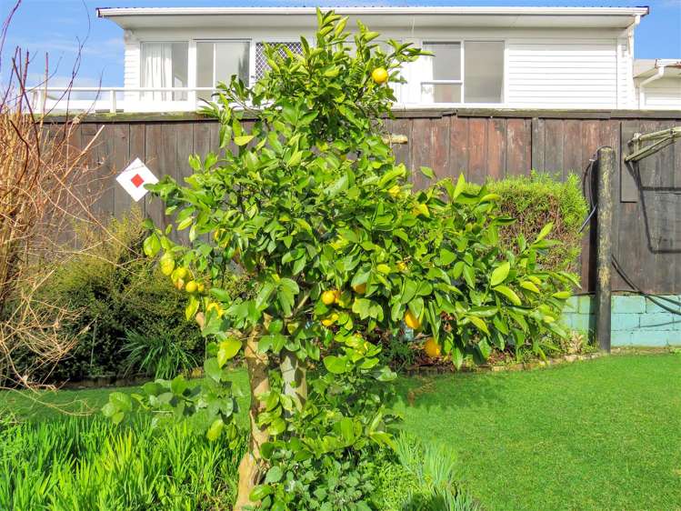 66 James Street Glenholme_19