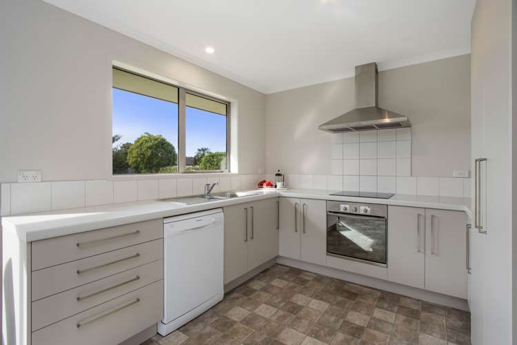 21 Hoggard Place Katikati_3