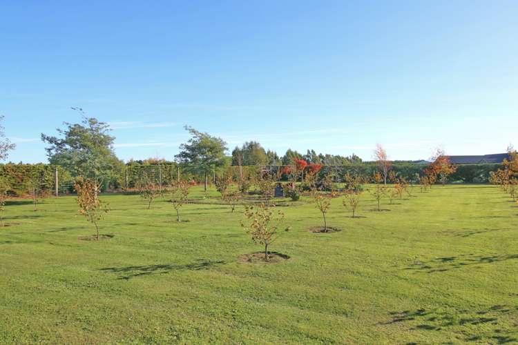 80 Crozier Drive Kirwee_17