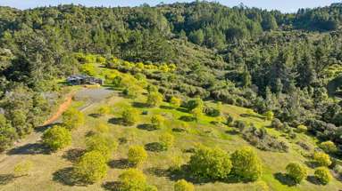 151B SH25 Tairua-Whitianga Hwy_1